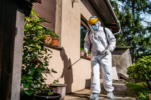 Reliable Munsons Corners, NY Pest Control Solutions